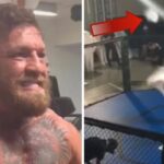 UFC – « Decapitator » : le terrifiant coup de Conor McGregor capable d’arracher des têtes (vidéo)