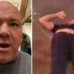UFC – Après le KO de Nate Diaz, la punchline sauvage de Dana White : « Sa tête a… »
