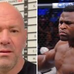 Cash, Francis Ngannou balance sur l’UFC et Dana White : « Ils m’ont…