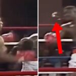 « C’était un animal » : le combat où Mike Tyson a frappé plus fort que jamais ! (vidéo)