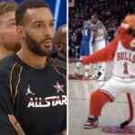 NBA – Le salaire des mascottes révélé, les fans choqués !