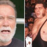 La photo dingue où Andre The Giant (2m25, 240 kg) fait passer Schwarzenegger (105 kg) pour un fragile ! 