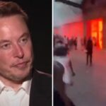 Après les émeutes, Elon Musk s’en prend aux Marseillais : « C’est du… »