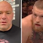 UFC – La grosse douche froide de Dana White sur Conor McGregor : « Quand il…