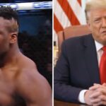 L’avis cash de Francis Ngannou sur Donald Trump : « C’est…