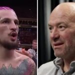 UFC – Dana White répond cash à Sean O’Malley : « Gamin, t’as pas idée à quel point tu…