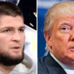 UFC – Donald Trump lâche son avis honnête sur Khabib : « Je pense qu’il…