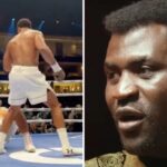 L’aveu cash de Francis Ngannou sur son terrifiant KO : « Je n’ai même pas…