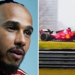 Après avoir tué un être-vivant en pleine course, Lewis Hamilton dévasté : « Je n’ai pas réussi à le distinguer »