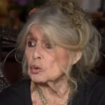 Décédée à 91 ans, les derniers mots de Brigitte Bardot révélés : « Elle a dit ça, et puis c&rsquo;était fini »