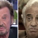 La violente (et vraie) bagarre entre Belmondo et Hallyday : « Ils buvaient un verre, et d&rsquo;un coup…
