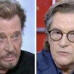 Francis Cabrel cash sur Johnny Hallyday hors-caméras : « Je l&rsquo;ai vu une seule fois, il était…