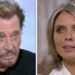 Sylvie Tellier dépitée par son unique rencontre avec Johnny Hallyday : « Il est arrivé pendant que j&rsquo;étais…