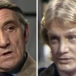 Ulcéré, pourquoi Lino Ventura a brutalisé Claude François : « Il l&rsquo;a décollé du sol et lui a…